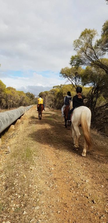 Trail riding at Green Gables Stables