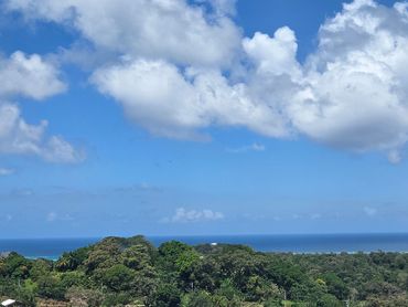 Scenic view of lush greenery and distant ocean under a partly cloudy sky.