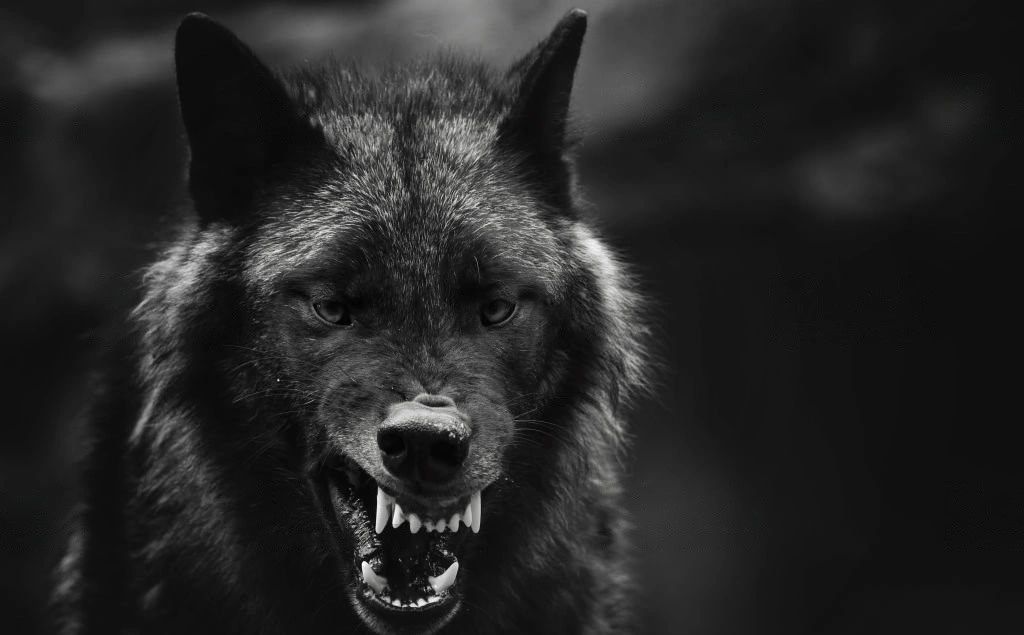 Bring your anger management solutions to the next level with Always Angry! We provide a comprehensive suite of tools for managing and transforming anger into productive energy. Sign up today! help manage the signs and symptoms of being anger. Working on learning self-soothing techniques and coping skills