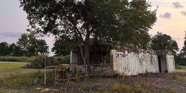Abandoned concrete structure overgrown by trees and vegetation.