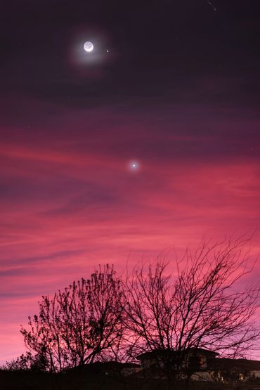 Crescent Moon, Jupiter & Venus
My Back Yard
Texas