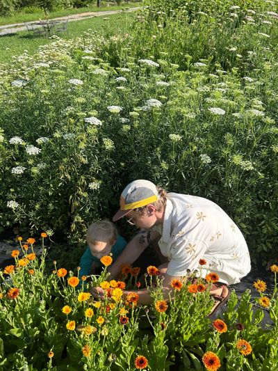 Adult and child exploring vibrant orange flowers in a green garden.