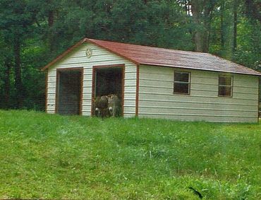24x31x11 Boxed Eave Garage w/ 3' braces, (2) 10x10 Roll-Up Doors, & (4) 24"x36" win. - $15,388 + tax