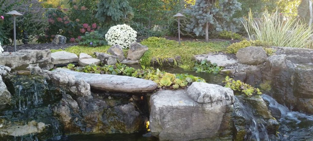 Beautiful landscape and pond, all supplies form aquascape. Two pump system with a wetland.
