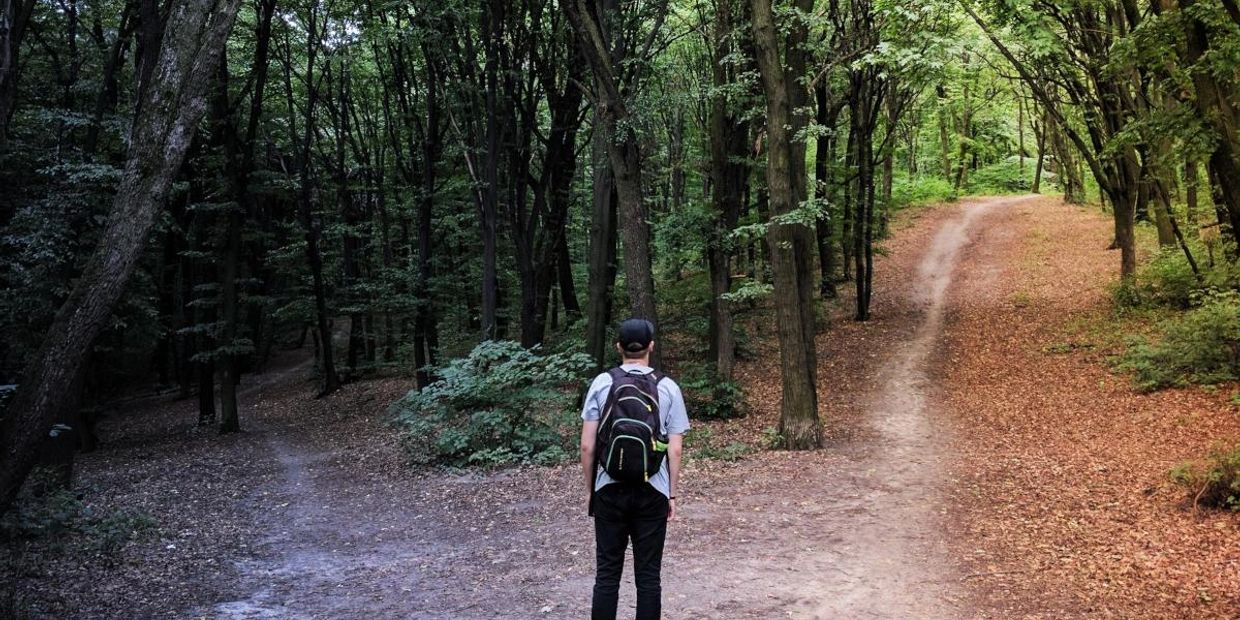 Man standing at a fork in a forest path, choosing between a dark overgrown trail and a path leading