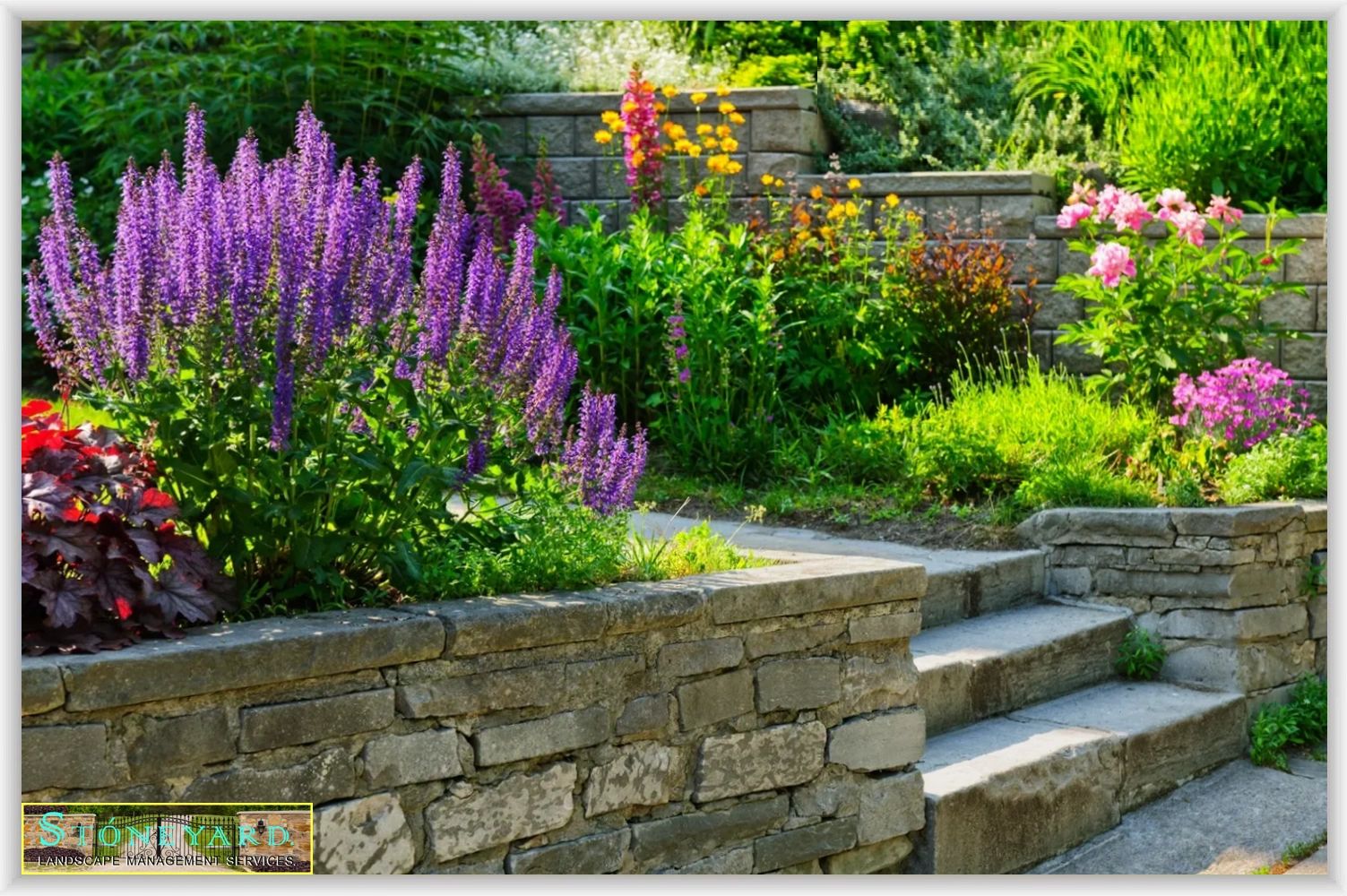 PróTURF Láw Palm TURF TÚRF TÚRFtech Chéss Oasís Ránch Béach PebbleTURF Lake House Spa BBQ Garden Par