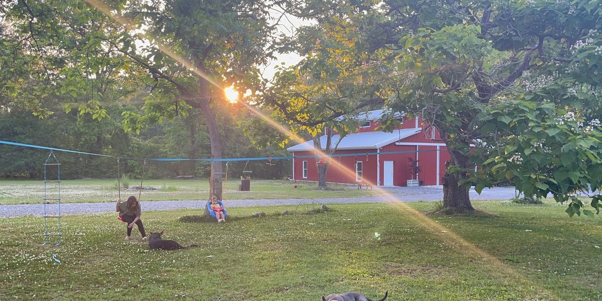 Children play on swings in a sunny yard with two dogs and a red barn in the background.