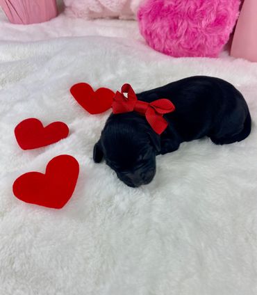 Red String Female (Ruby)