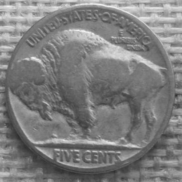 Old US nickel with a buffalo design.