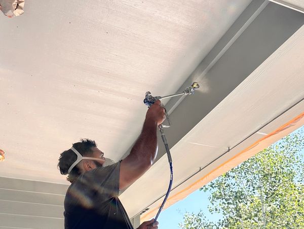 Professional exterior painting by Radical Change LLC in Lincoln, Nebraska.