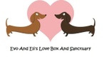 Evo and Eli's Love Box and Rescue
