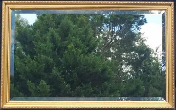Mirror rental gold frame wedding event SC southern rustic