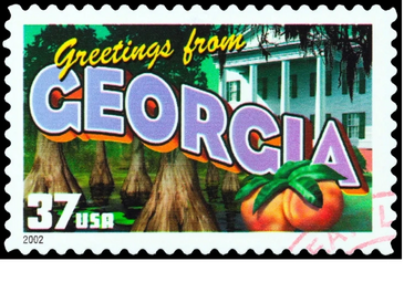 pick up your bernedoodle puppy in Georgia