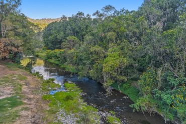 A calm river flowing through lush green forest.
