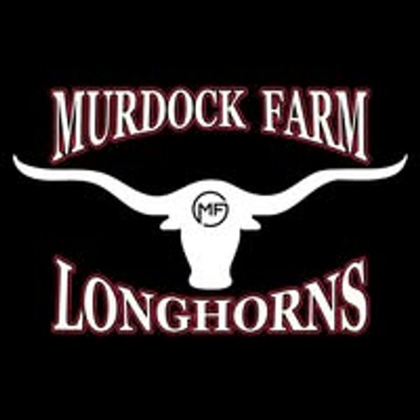 Logo of Murdock Farm Longhorns with a longhorn silhouette.