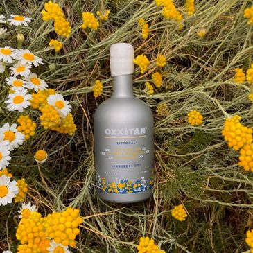 OXXiTAN, best garrigue flavours from a French gin supplier. OXXiTAN Gin de garrigue. Nouveau gin bio