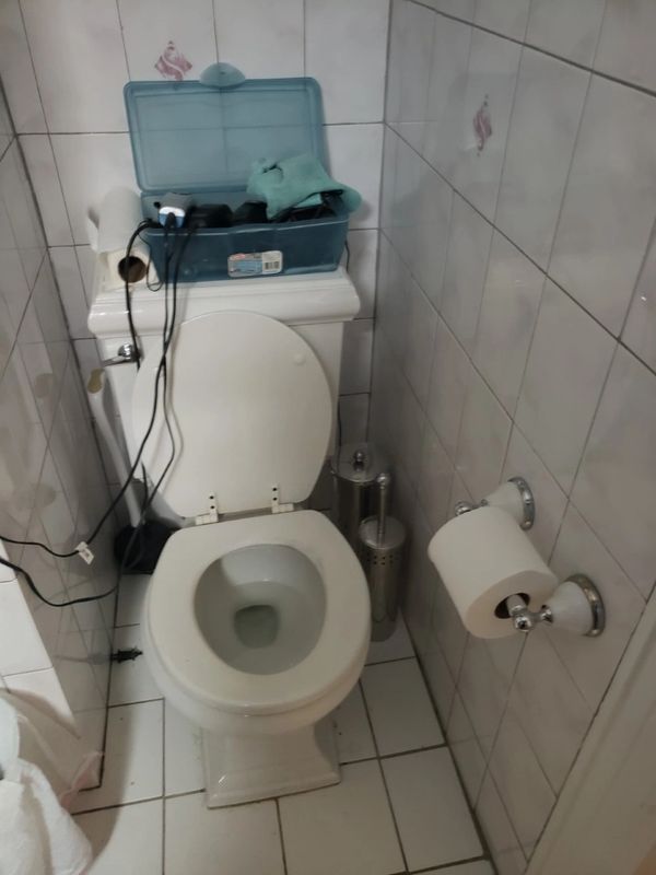 Clean toilet