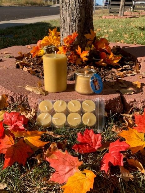 Fall Favorites!