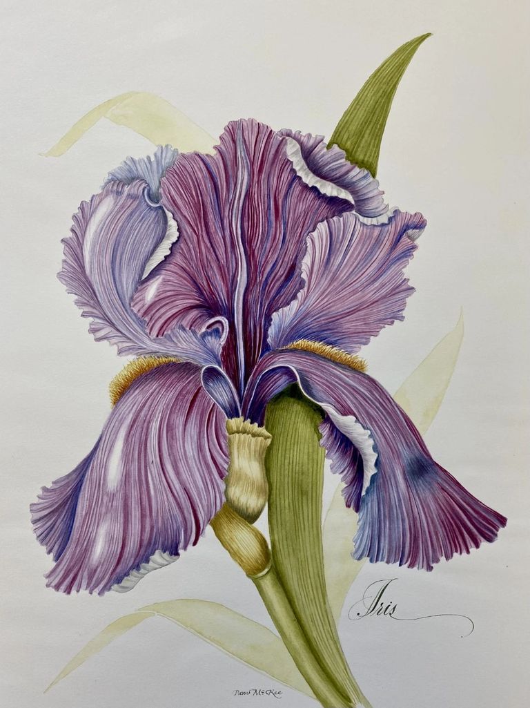 image257