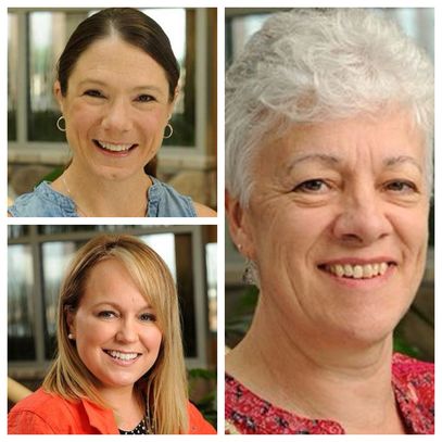 Maine midwives