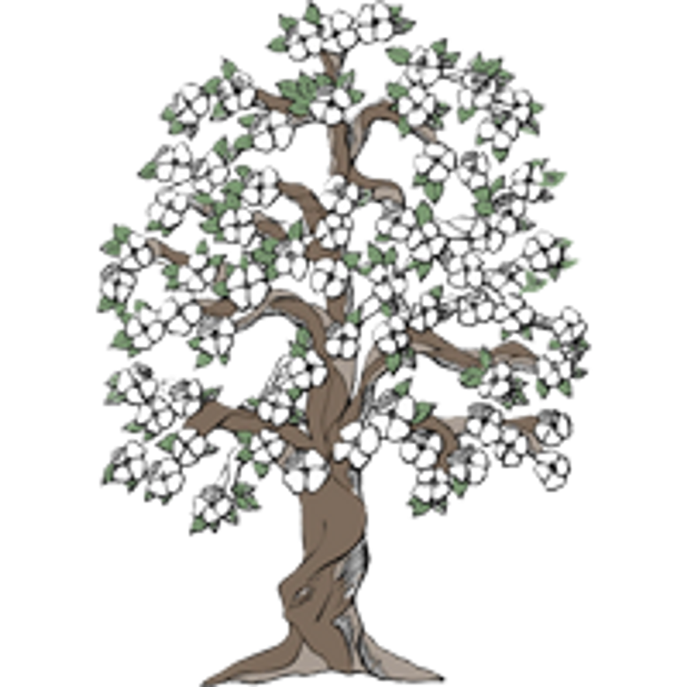 Maine CNM logo