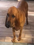 Sailor (Secret x Ben) is a 4th generation tracking machine.