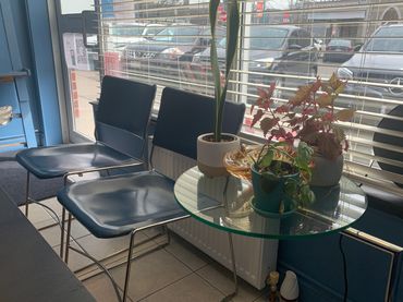 Three potted plants on a glass table beside two blue chairs near a window.