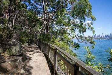 A scenic forest path with a wooden railing overlooking water and a distant city skyline.