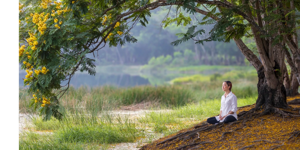 a person sitting calmly in nature under a tree, representing rest, inner safety, and emotional suppo