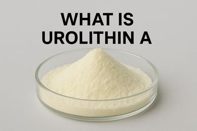 <img src="urolithin-a-overview.jpg" alt="What is Urolithin A compound">