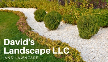 David's Landscaping LLC