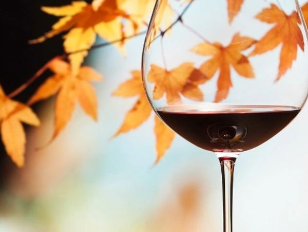 Wine glass with autumn leaves reflected inside, set against a blurred fall background.