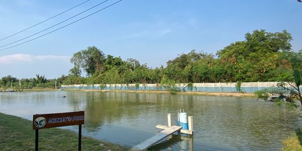 Shakey’s pool