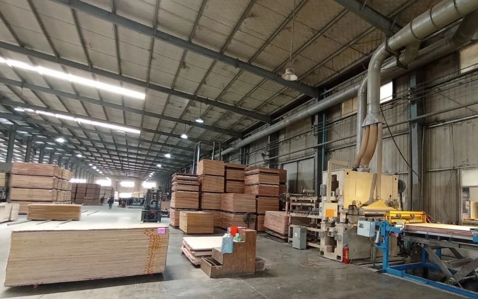 Plywood sourcing from Southeast Asia Cambodia Vietnam Malaysia