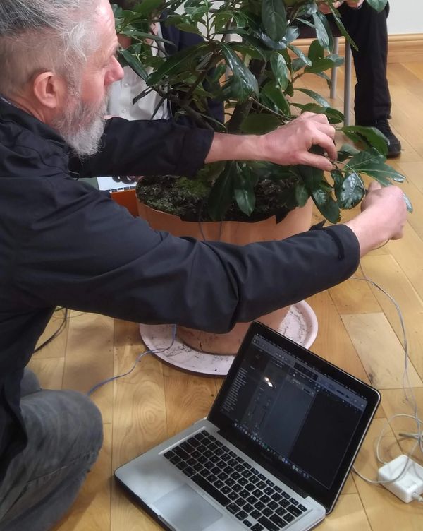 Man adjusting wires on a potted plant with a laptop nearby.