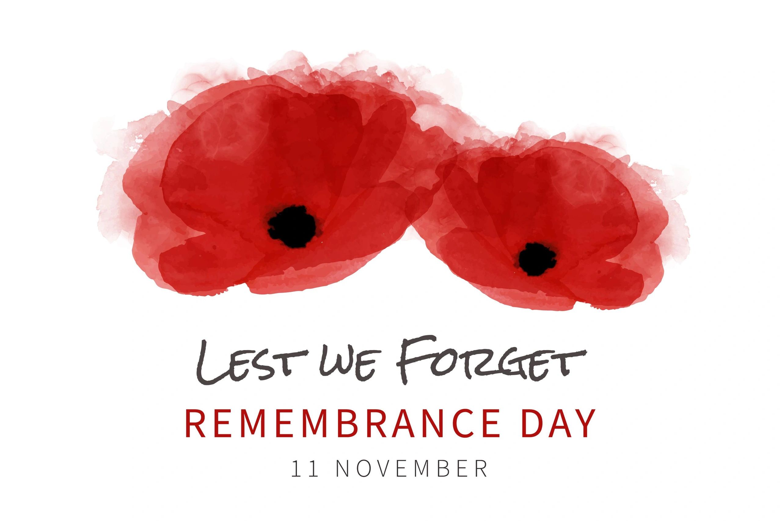 Lest We Forget Remembrance Day November 11th