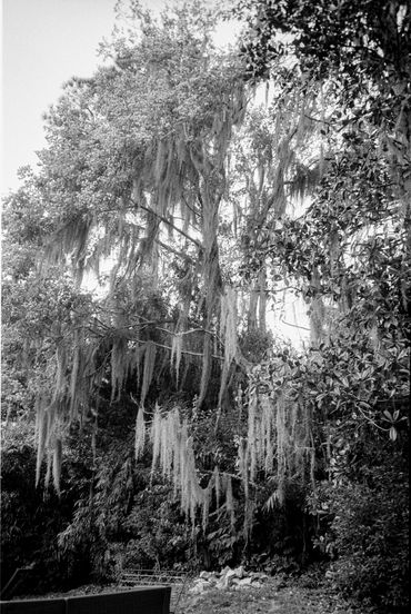 Eamon's Backyard, 2024