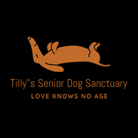 Tilly's Senior Dog Sanctuary