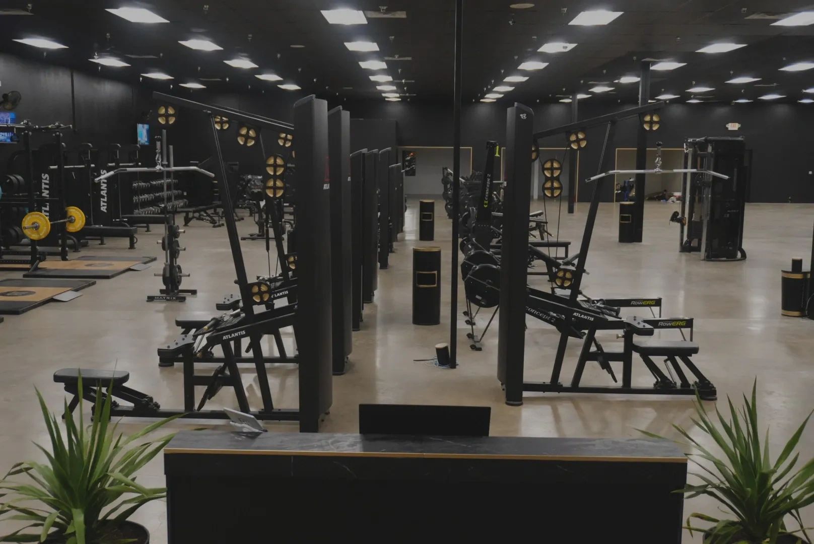 Modern gym with various exercise machines and weights, featuring a spacious layout.