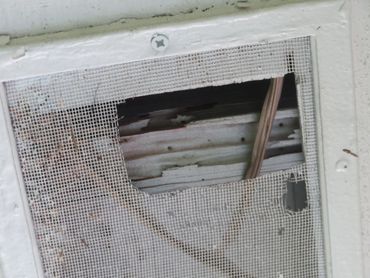 Evidence of termite damage and damaged soffit screen.