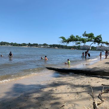 Children playing and swimming at a sunny beach with a tree swing.