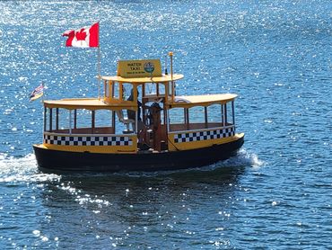 The Harbour Ferry dock is a 2 minute walk from the beginning (or end) of the track!