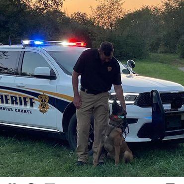 Texas Dual purpose Police K9 Chambers County