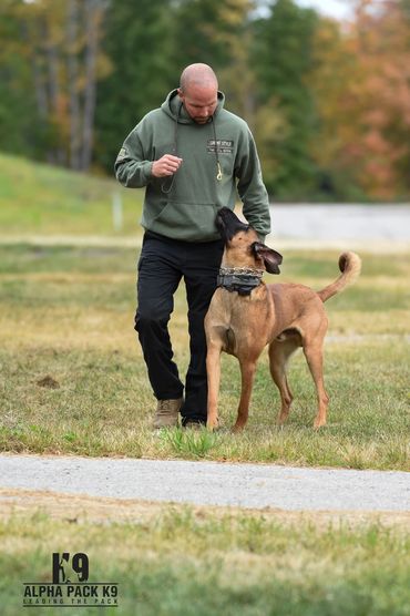 Dual Purpose Police K9 vendor training