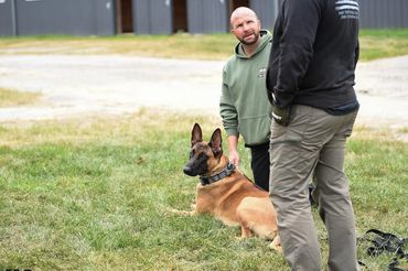K9 Vendor training obedience