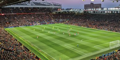 Manchester United Fan X