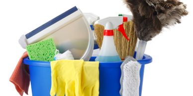 cleaning kaddy and duster, cleaners, gloves, mope bucket | The Miracle Maids