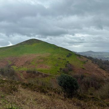 Cloudy sky over a green hill with scattered bushes and trees.