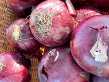 Sweet Red Onions, Sweet Yellow Onions