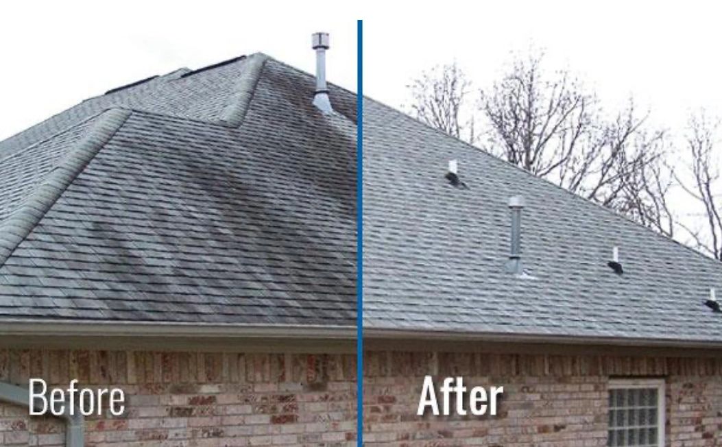 Roof soft wash - before and after